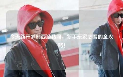 今天新开梦幻西游私服，新手玩家必看的全攻略！